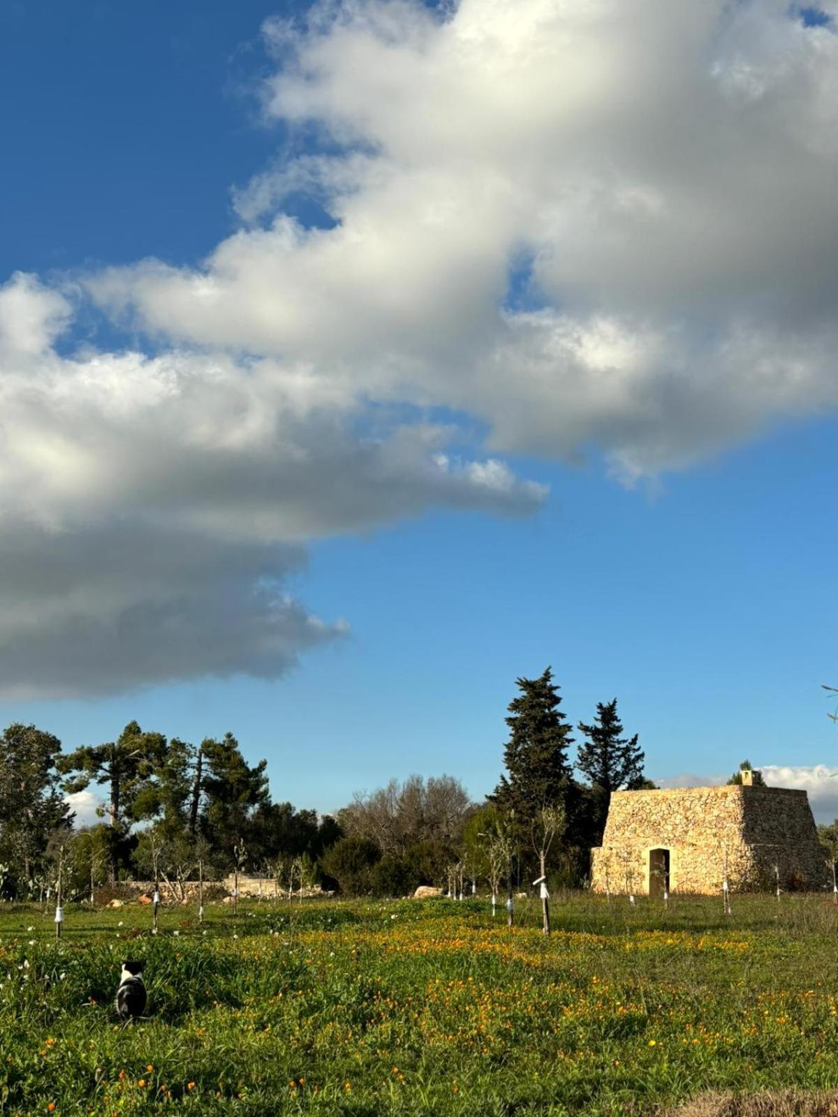Aparthotel Badia San Michele Pajara Aida Tuglie Esterno foto